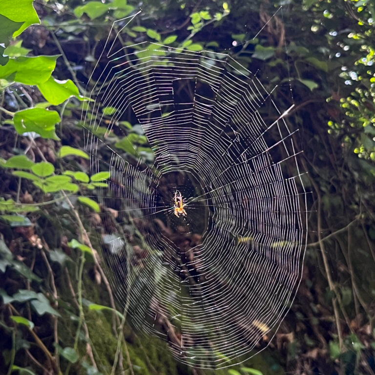 How to Do Nothing and Survive Usefulness