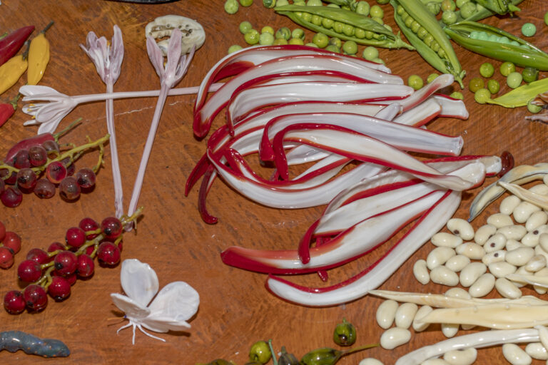 Archiving Nature Through Glass