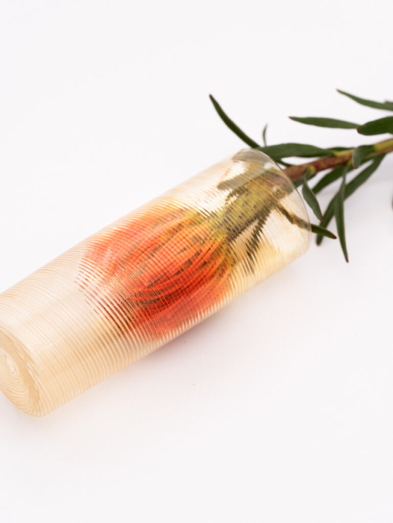 Campaign by Giacomo Bianco