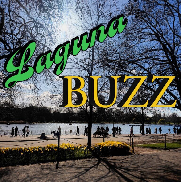 Laguna Buzz